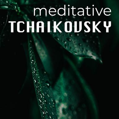 Six Romances, Op. 6, TH 93: No. 2, Not a Word, O My Friend. Andante ma non troppo