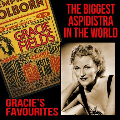 The Biggest Aspidistra in the World - Gracie's Favourites