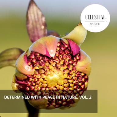 Interesting Small Birds Talk