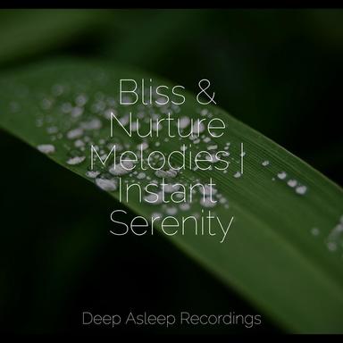 Tropical Tranquility