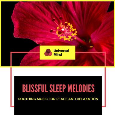 Indian Chill Out - Original Mix