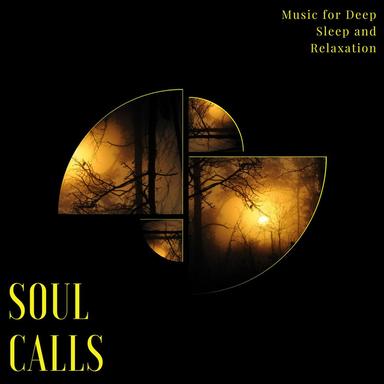 Soul Calls - Music For Deep Sleep And Relaxation