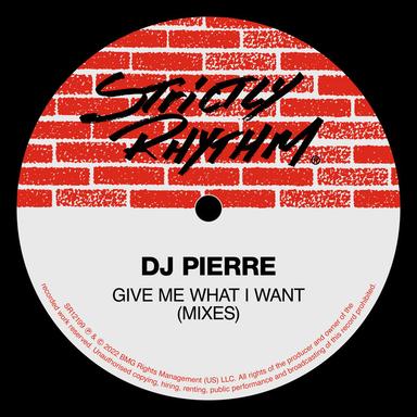 Give Me What I Want (Mixes)