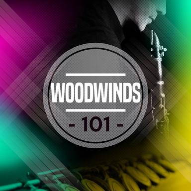 Quintet for Piano, Oboe, Clarinet, Horn, and Bassoon in E Flat, K. 452 : 1. Largo - Allegro moderato