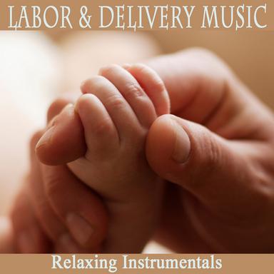 Day Dream Believer (Instrumental Version)