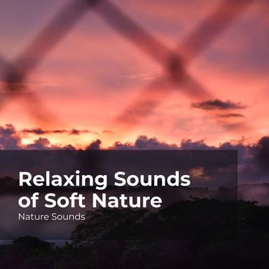 Lyrical Flowing River