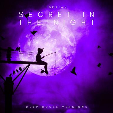 Secret in the Night - Deep House