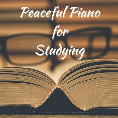 Preludes, Op. 28: No. 4 in E Minor. Largo