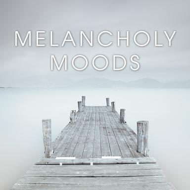 Flute Concerto in G Minor, Op. 10: No. 2, RV 439, "La Notte": III. Largo