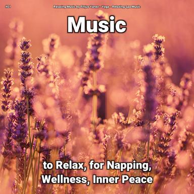 Soothing Music for Sleep