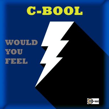 Would You Feel - Ziggy X Remix