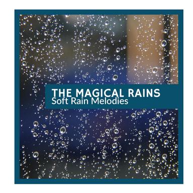 Countless Insects & Frogs