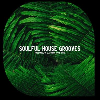 Soulful House Grooves