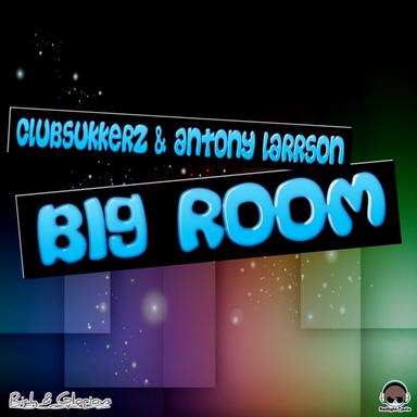 Big Room - Radio Cut