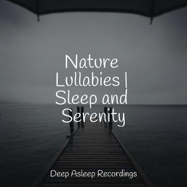 Breeze of Enchantment