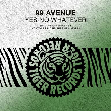 Yes No Whatever - Hoxtones & Dfe Radio Edit