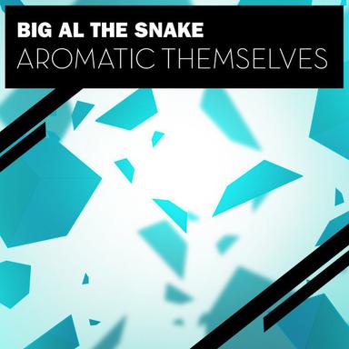 Aromatic Themselves - Radio Edit