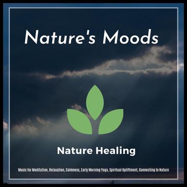 Rise And Shine - Original Mix