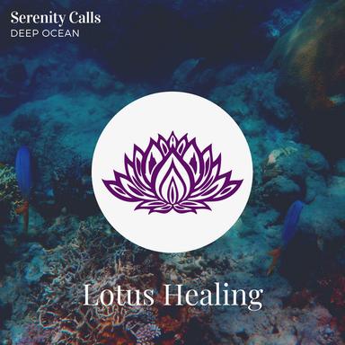 Sleep With Ocean Waves - Original Mix