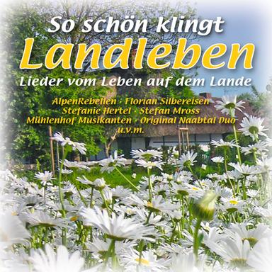 Jetzt geht es aufwärts