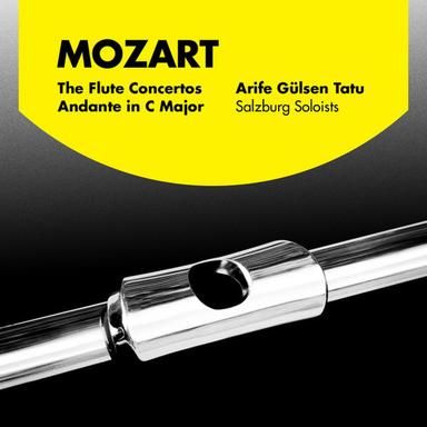 Mozart: The Flute Concertos And Andante In C Major