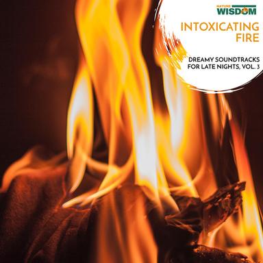 Glowing Splashes in Summerforest Rain