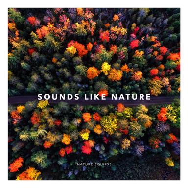 Rainstorm Countryside