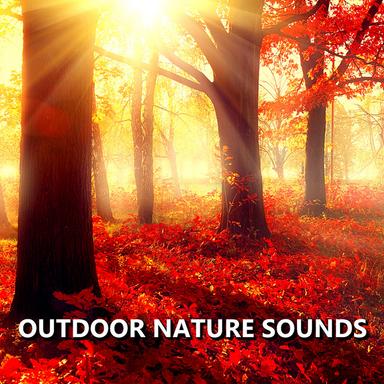 Enthralling Outdoor Nature Sounds