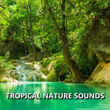 Smooth Outdoor Nature Sounds