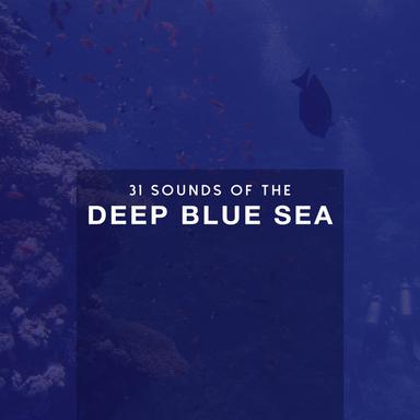 31Sounds of the Deep Blue Sea