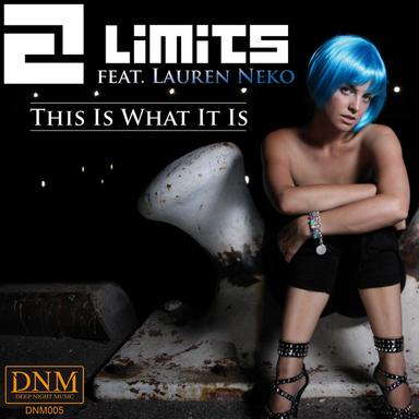 This Is What It Is - Stereoliner Remix