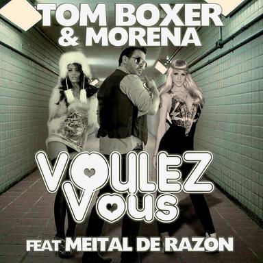 Voulez Vous - Radio Edit