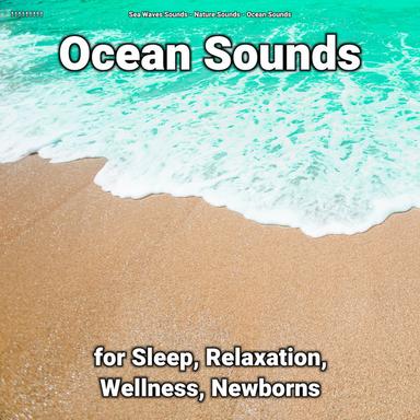 Nature Sounds for Mindfulness