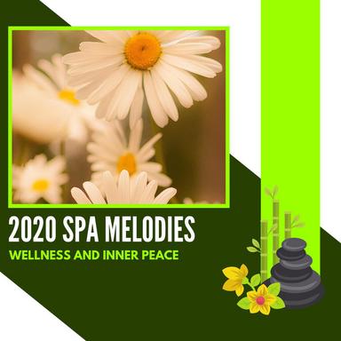 Sedate Vibes - Original Mix