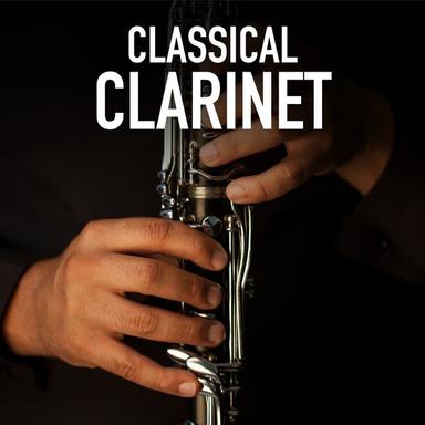 Clarinet Sonata No. 2 in E-Flat Major, Op. 120 No. 2: III. Andante con moto