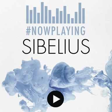 Symphony No. 7 in C Major, Op. 105: Adagio (Attacca)