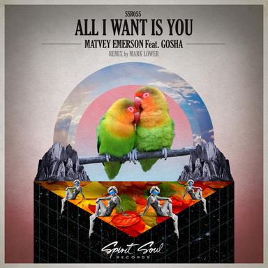 All I Want Is You - Original Mix