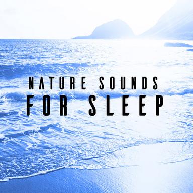 Raindrops on the Window