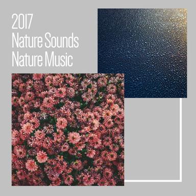 2017 Nature Sounds : Nature Music