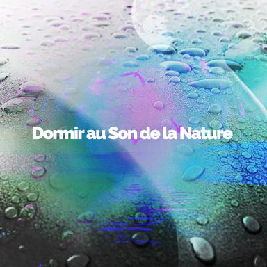 Winter Woodland Camp