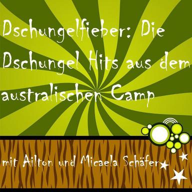 Somebody That I Used to Know