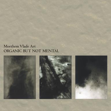 Splendor in the Grass