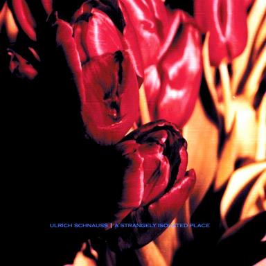 Monday – Paracetamol