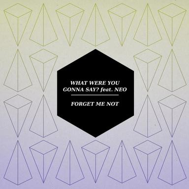 What Were You Gonna Say - Gullfisk Remix