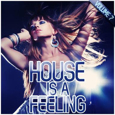 Just House Feel - Original Mix