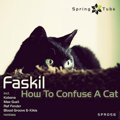 How to Confuse a Cat - Original Mix