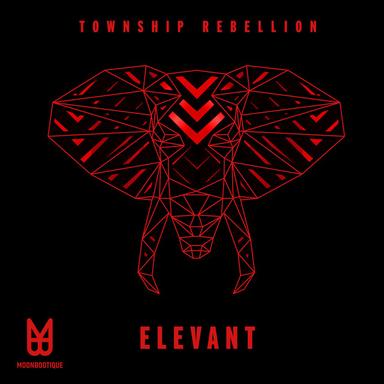 Elevant - Bjoern Stoerig Remix