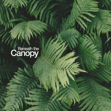 Sounds of the Forest