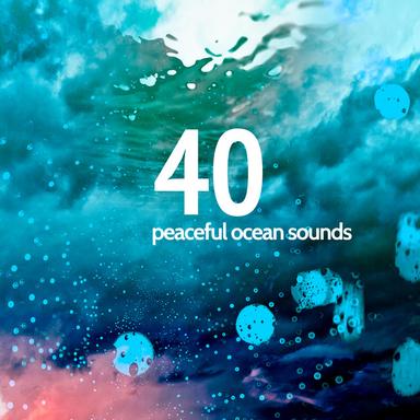 40 Peaceful Ocean Sounds