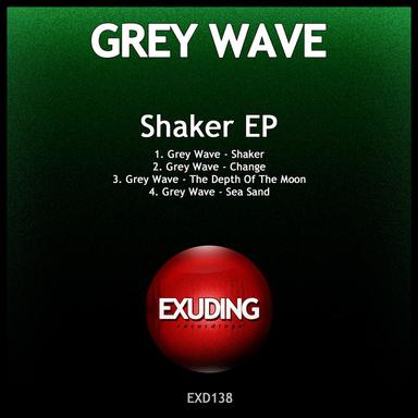 Shaker - Original Mix